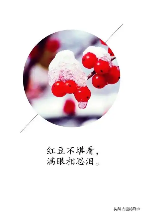 红豆生南国,春来发几枝?(唐)王维