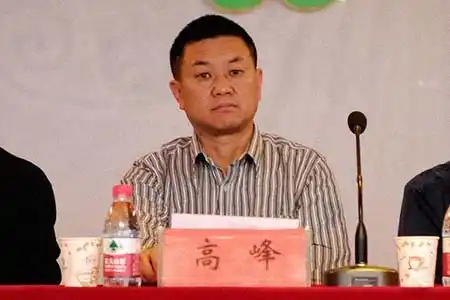 高峰(企业家) 简历 - 名人简历