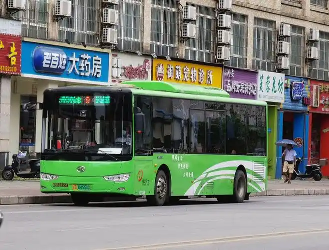 data-lemmaid="19882544">柳州公交 /a>9路是柳州市内的公交车路线