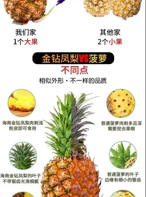 大家快来买买买下午4点文昌市委书记市长将在淘宝直播卖凤梨助农增收