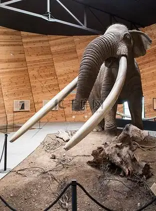 乳齿象图片素材_乳齿象模型