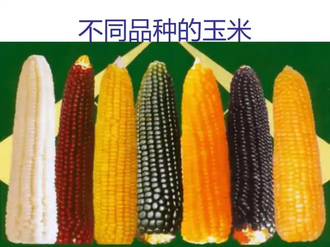 广东省中山市人教版2015-2016学年度初中生物八年级下