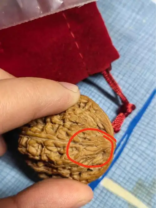 懂的有的告诉我谢谢#文玩核桃  #承德密纹核桃  #红玛瑙核桃