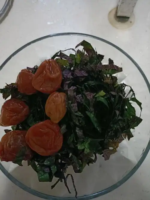 广西的还有谁这样吃紫苏