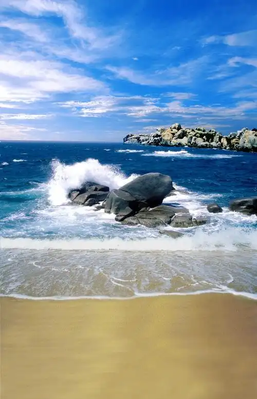 大海背景布 大海沙滩蓝天白云海边椰树风景主播拍视频段子直播背景布