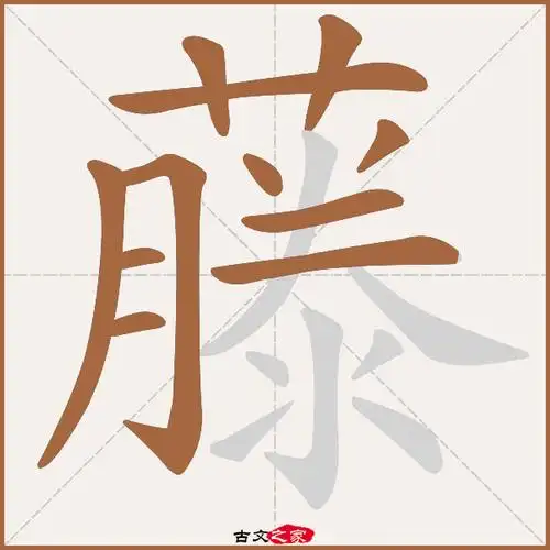 藤字笔顺相关词语及拼音其它字典出处:[ 故训彙纂 ]:1985|2063.