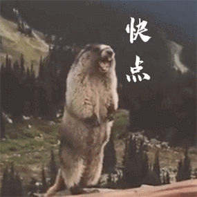 土拨鼠的搞笑动图表情包