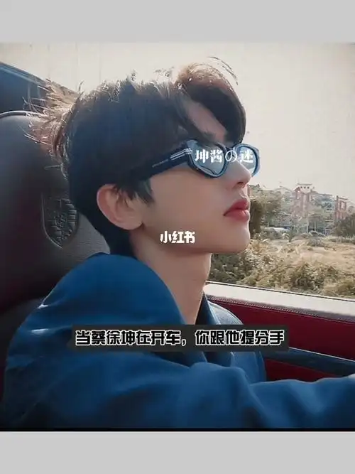 当你在车上和蔡徐坤提分手打一成语