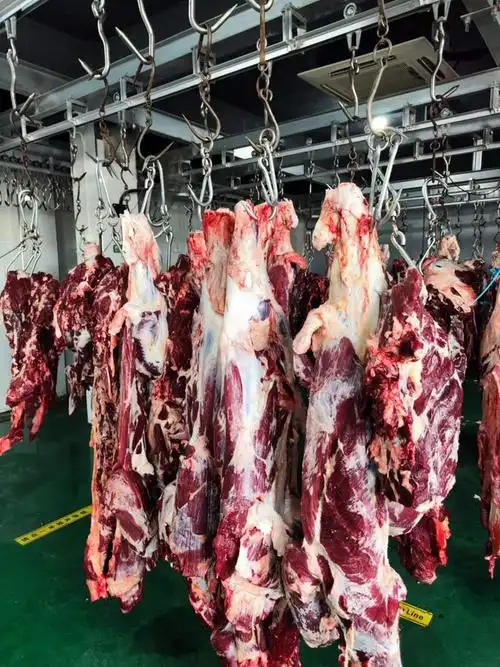 江苏格勒携手南京鸿俐及贵州新驰 每日直供新鲜黄牛肉|牛羊肉|屠宰场