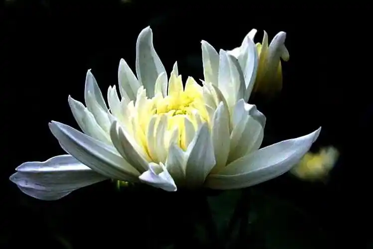 清明节是中华民族缅怀英烈,祭奠逝者,悼念先人,寄托哀思的重要时节.