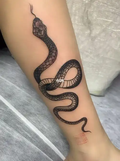 小蛇纹身小腿纹身吴江酷客纹身女生纹身