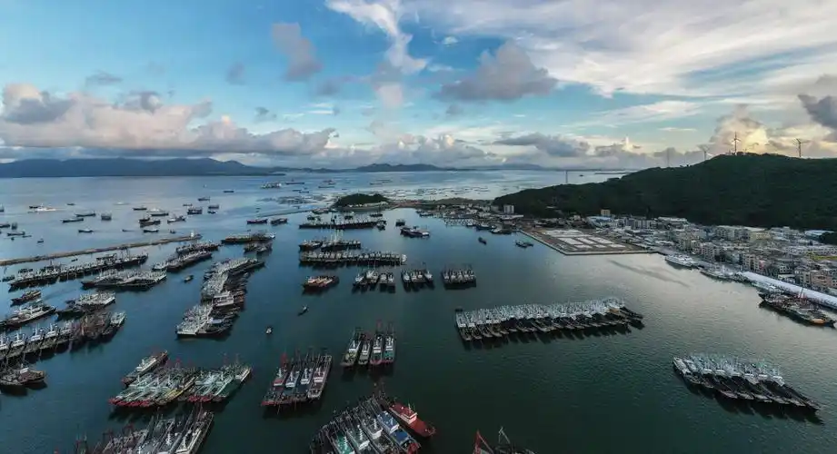阳江海陵岛闸坡渔港纪实
