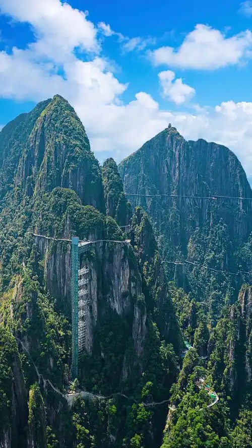 总要去趟湖南郴州的莽山五指峰吧!