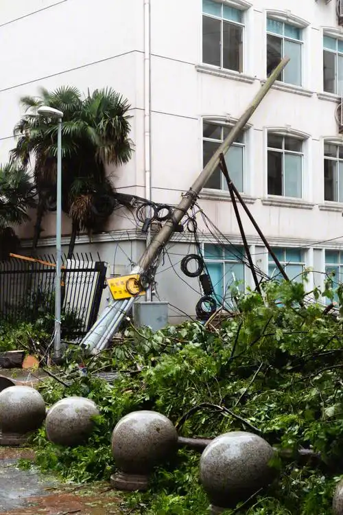 台风烟花过后的上海街道
