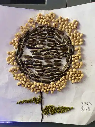 写美篇二(2)班  凌宸宇         我做了一幅《向日葵》的种子贴画