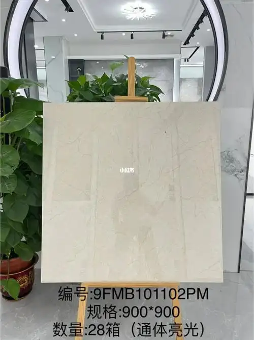 广东佛山蒙娜丽莎900x900瓷砖