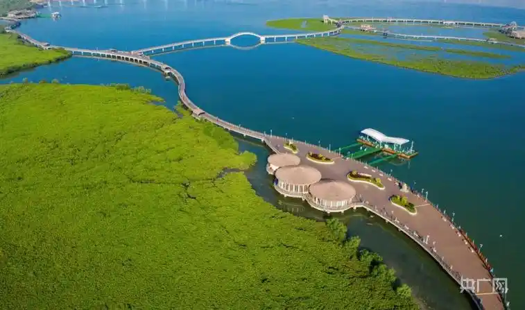 厦门翔安严抓生态建设 绿色经济效益逐步显现_央广网