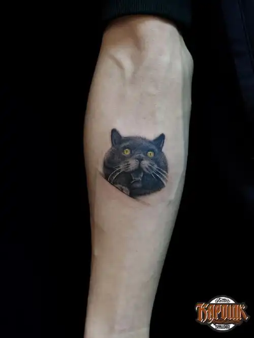 桂林刺青  #蓝猫  #纹身  #英短蓝猫  #吸猫  #我家宠物好可爱  #英