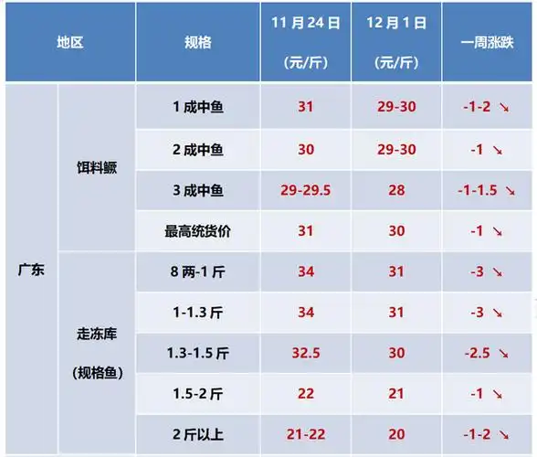 广东珠三角近期鳜鱼出鱼量很少,整体行情比上周有明显下跌.