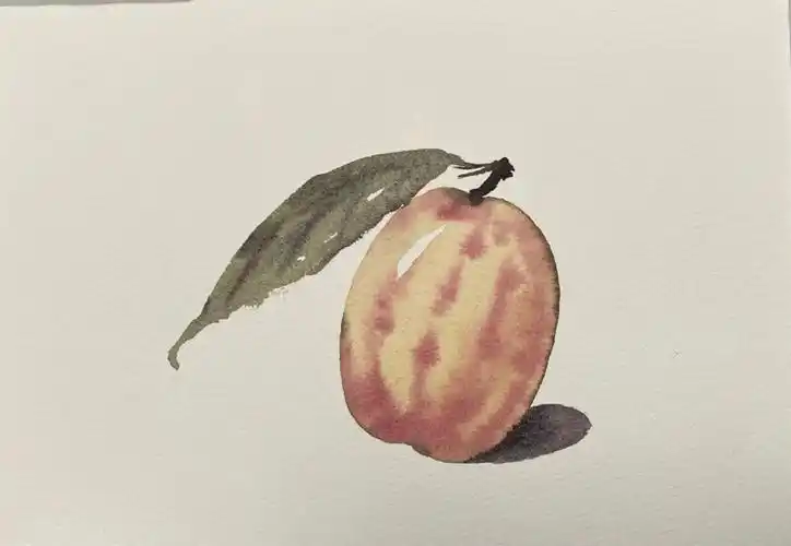 画画  #绘画  #寻找小红书绘画大神  #人参果  #水彩  #万物皆可聊