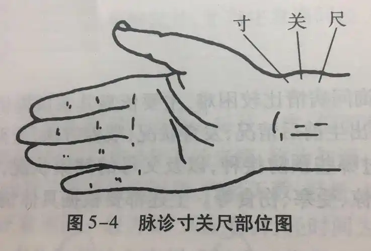 切诊,包括脉诊和按诊两个部分.