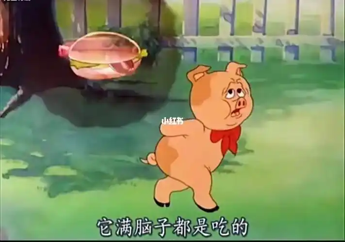 进食记她满脑子都是吃的