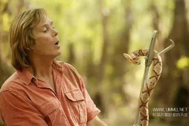 探索频道蛇王奥斯汀史蒂文斯austinstevenssnakemaster全14集英语中字