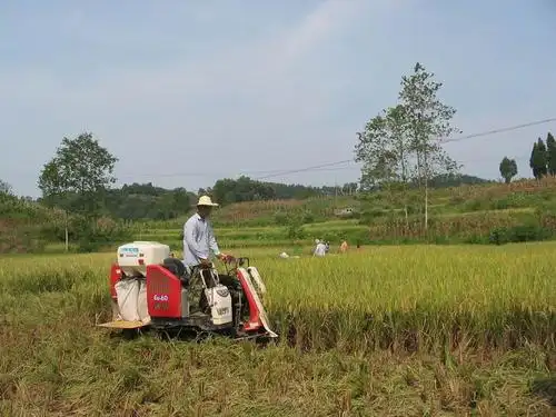 适合山区地形丰都县小型收割机显身手