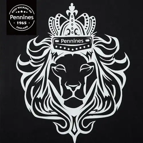 t恤圆领时尚水洗pennines奔宁潮牌2020青年品牌黑色狮子纯棉短袖