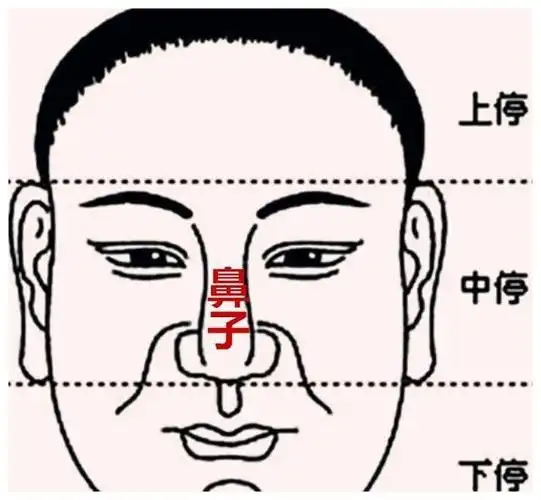 面相五官三鼻子看你财运