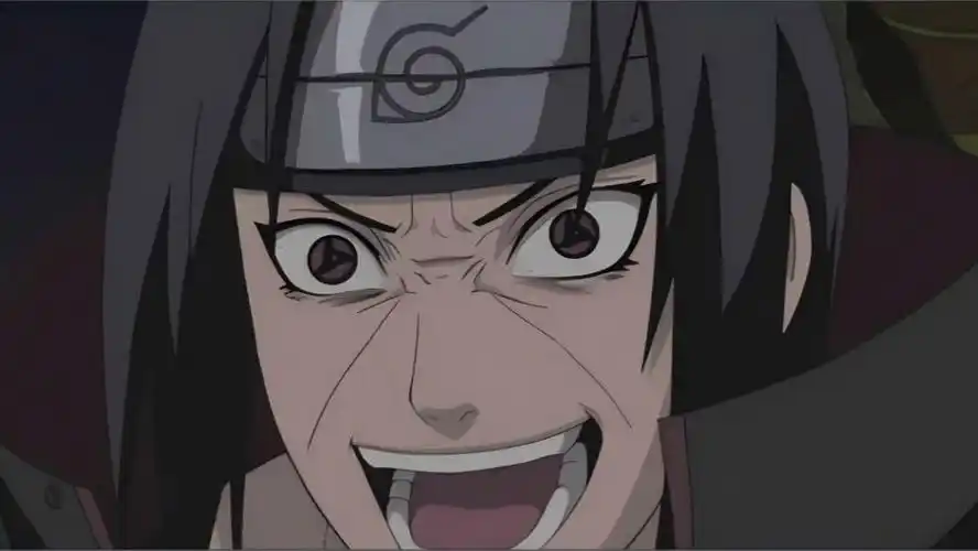 喜欢我的秽土鼬吗