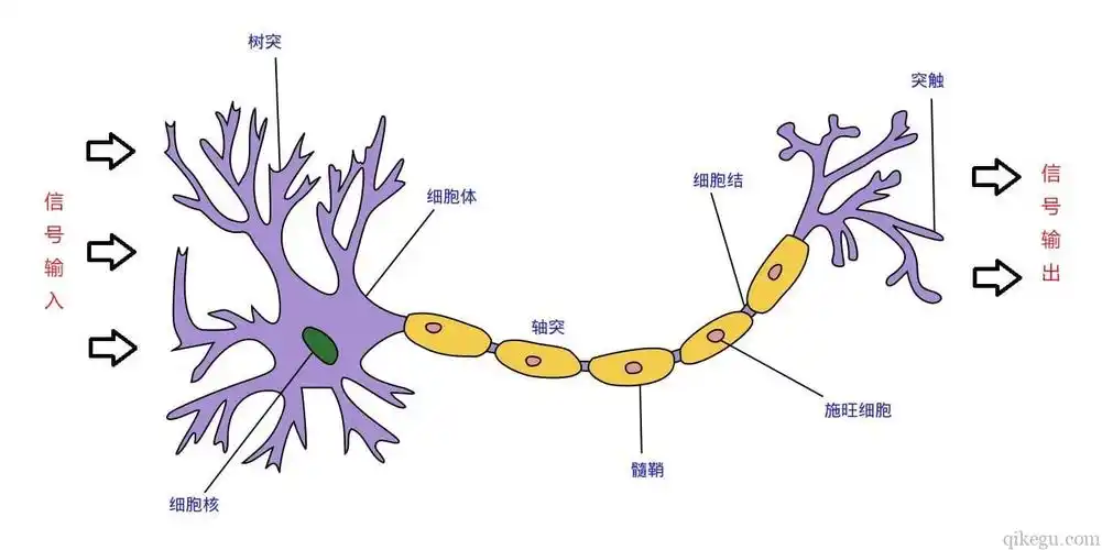 人工智能深度学习入门练习之(30)深度学习 – 人工神经网络 - 走看看