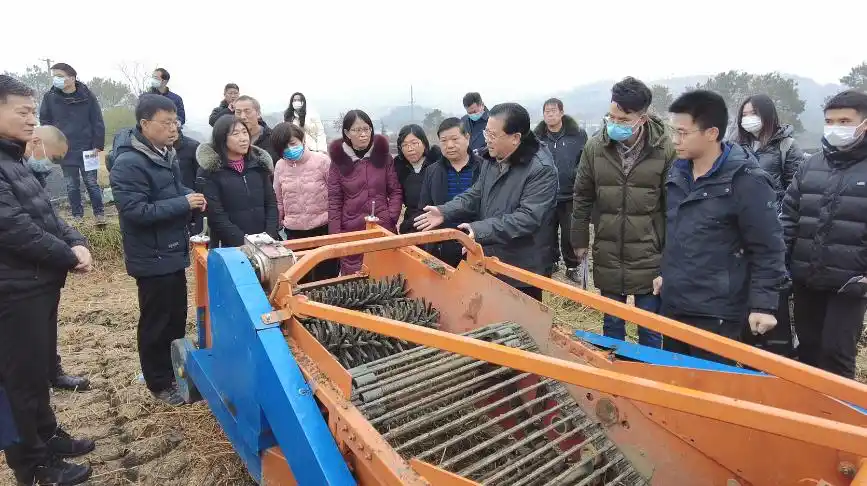 在荸荠机械化收获作业示范现场,一台新型的荸荠采挖机吸引了大家的