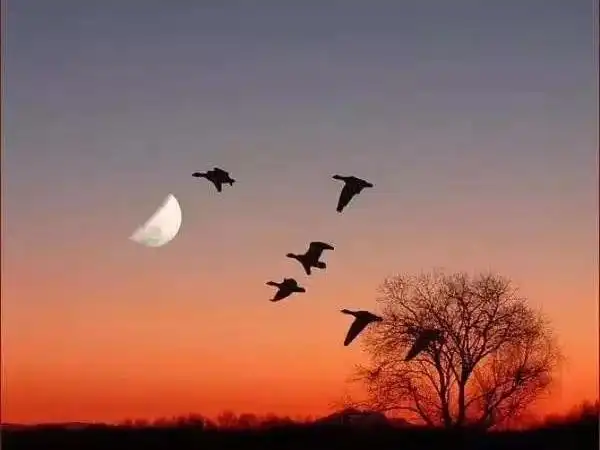 人生百年岁月悠悠