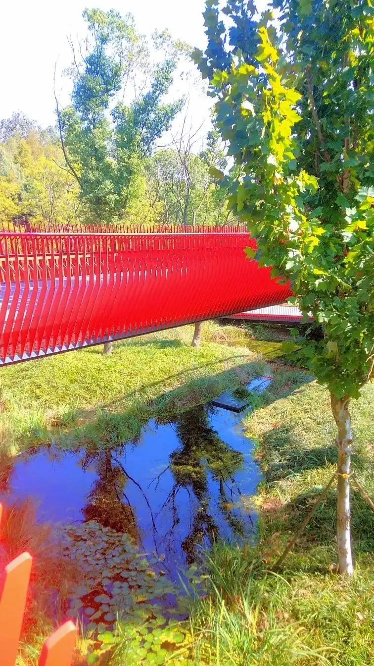 嘉兴放鹤洲生态公园犹如仙境