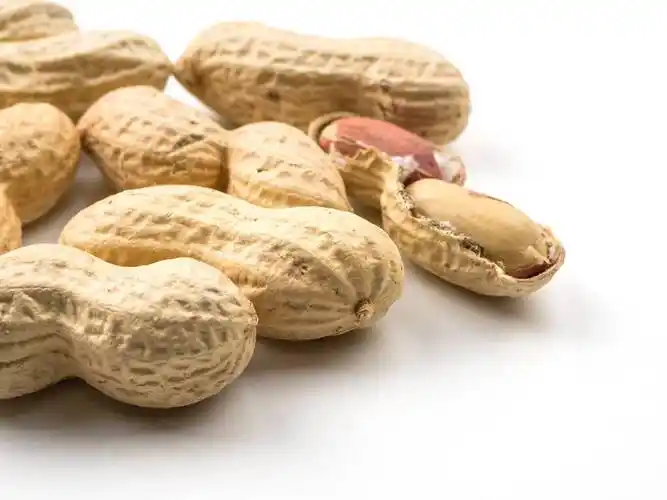 花生,这一在我们餐桌上平凡无奇的食材,往往被忽视其背后蕴藏的深厚