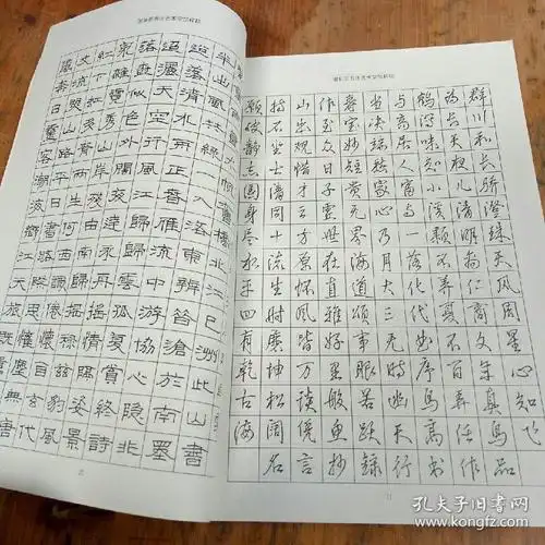 谢非墨硬笔书法卷