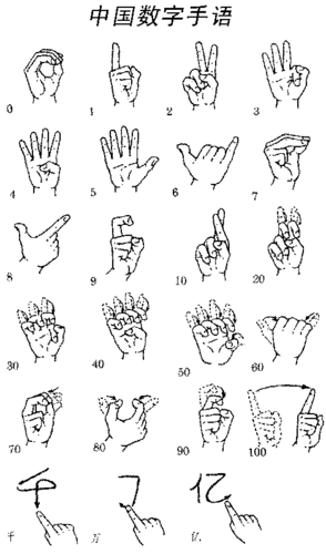 中国数字手语 - 新地小学五(3)班 - 新地小学五(3)班