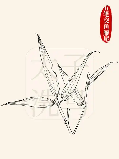 国画入门|97竹子9式白描/线描合集97干货6015