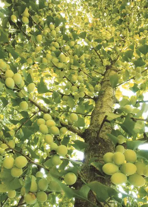 架好"绿水青山"通往"金山银山"的金桥