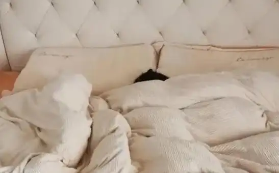 "人盖3被,疾病缠身",这3种被子千万别随便盖,有科学道理吗?