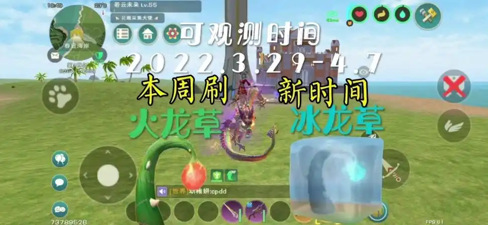 《创造与魔法》本周 龙涎草 冰霜龙涎草 刷新时间 龙草攻略