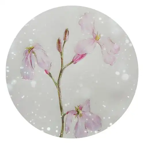 『心情小画』二月兰