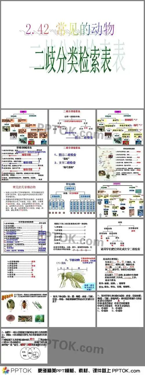 242常见的动物无脊椎动物二歧分类检索表ppt