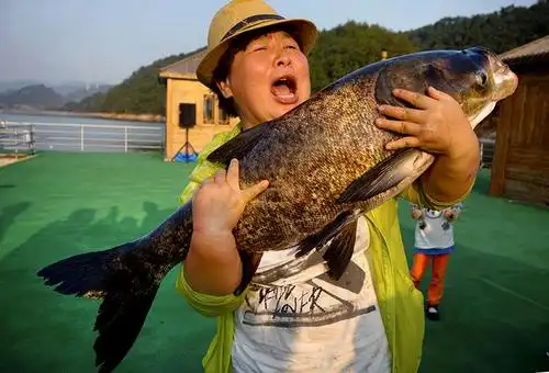 上一页 下一页 作品名称: 鱼王得主  作品描述