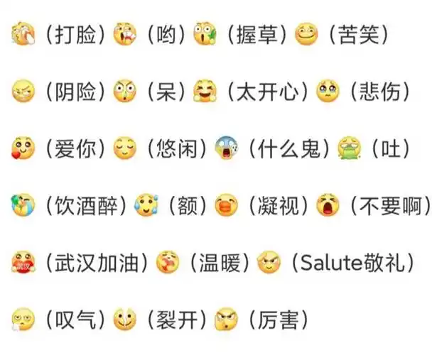 表情是什么意思 ?直接点就是表达感情,情意.