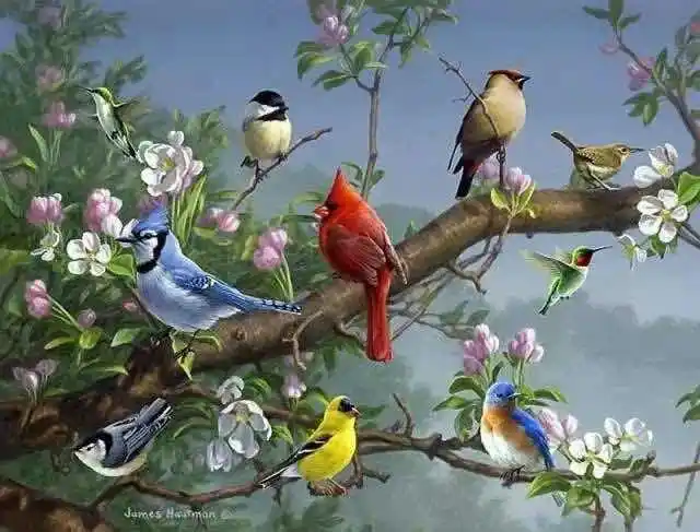 百鸟齐鸣,百花齐放