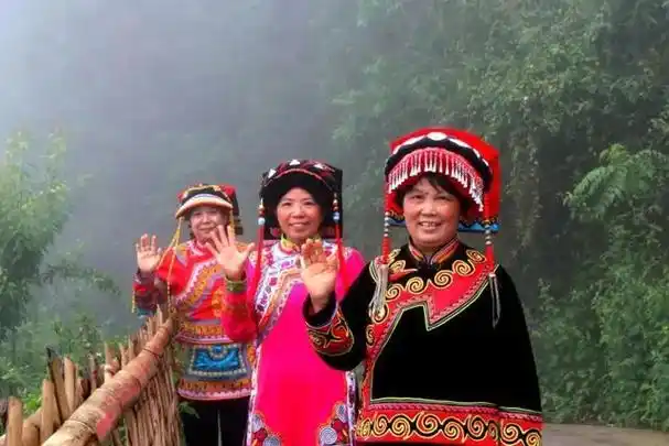 彝族|毕节市_新浪新闻