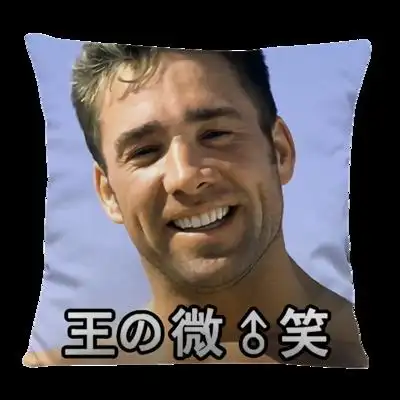 比利海灵顿抱枕