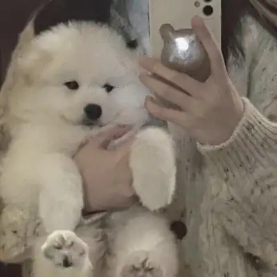 千鹤/奶狗③/日落西山而爱意东升_微信头像_我要个性网